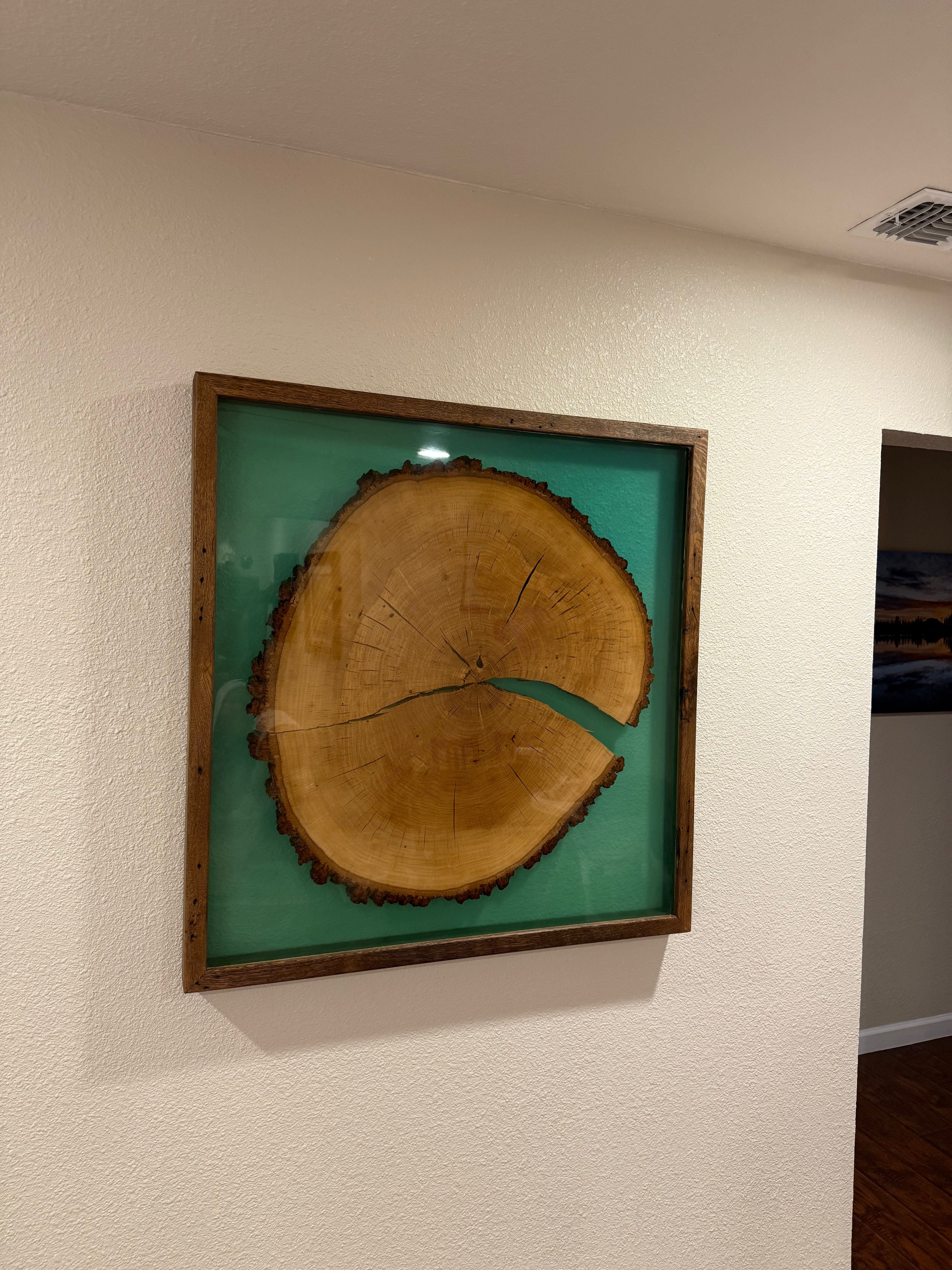 Oak "Cookie"