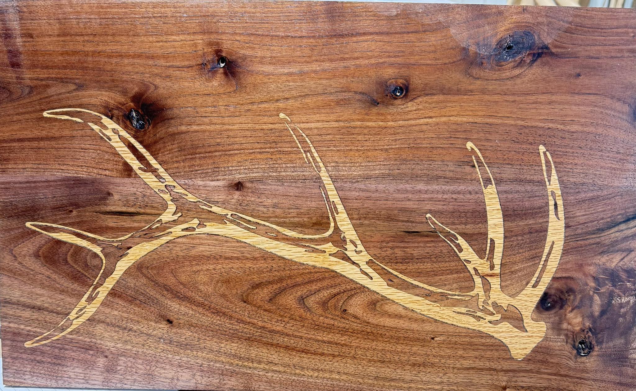 Shed Antler Inlay